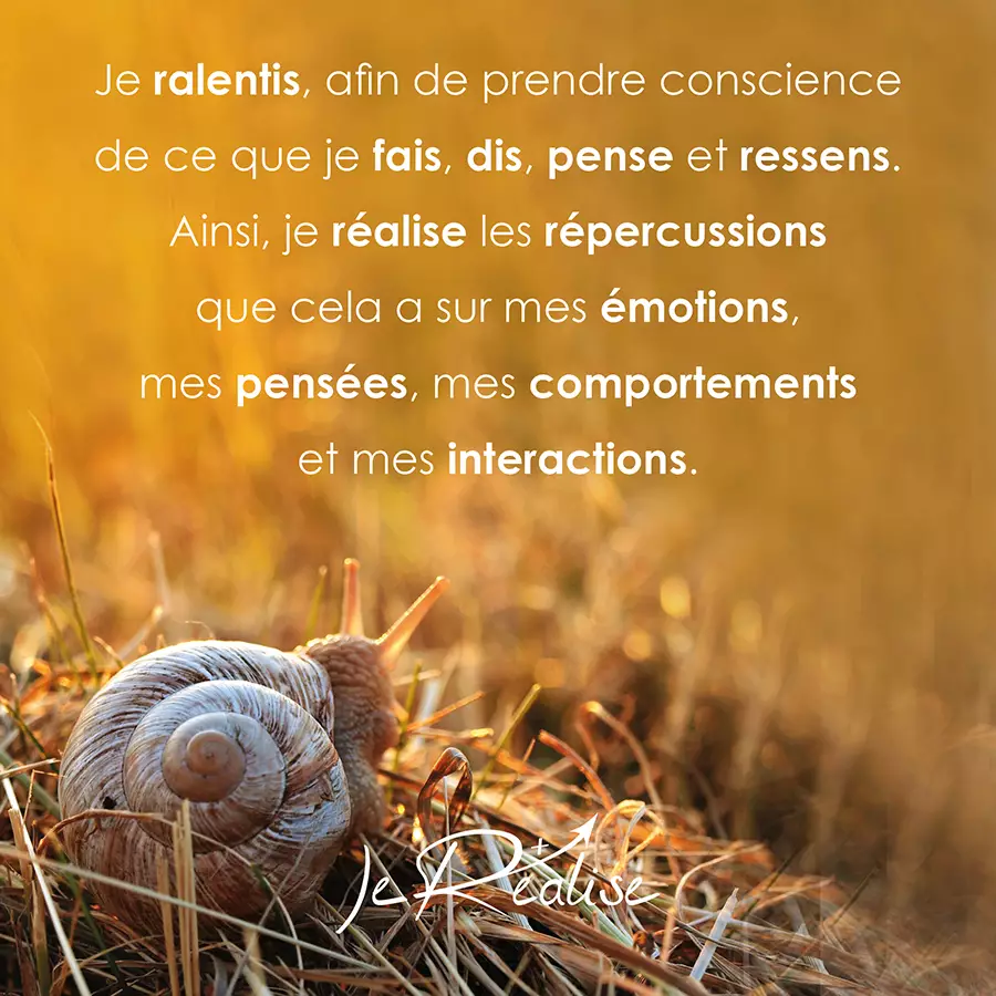 Citation_Je ralentis, afin de prendre conscience de ce que je fais, dis, pense et ressens. Ainsi, je r&eacute;alise les r&eacute;percussions que cela a sur mes &eacute;motions, mes pens&eacute;es, mes comportements et mes interactions.