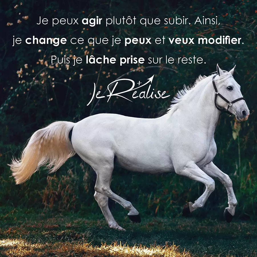 Citation_Je peux agir plut&ocirc;t que subir. Ainsi, je change ce que je peux et veux modifier. Puis je l&acirc;che prise sur le reste.