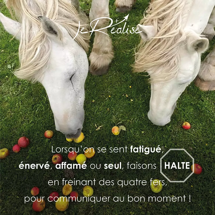 Citation_Lorsqu'on se sent fatigué, énervé, affamé ou seul, faisons halte en freinant des quatre fers, pour communiquer au bon moment !