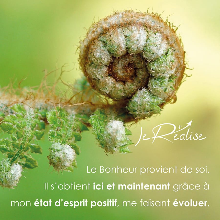 Citation_Le Bonheur provient de soi. Il s'obtient ici et maintenant gr&acirc;ce &agrave; mon &eacute;tat d'esprit positif, me faisant &eacute;voluer.