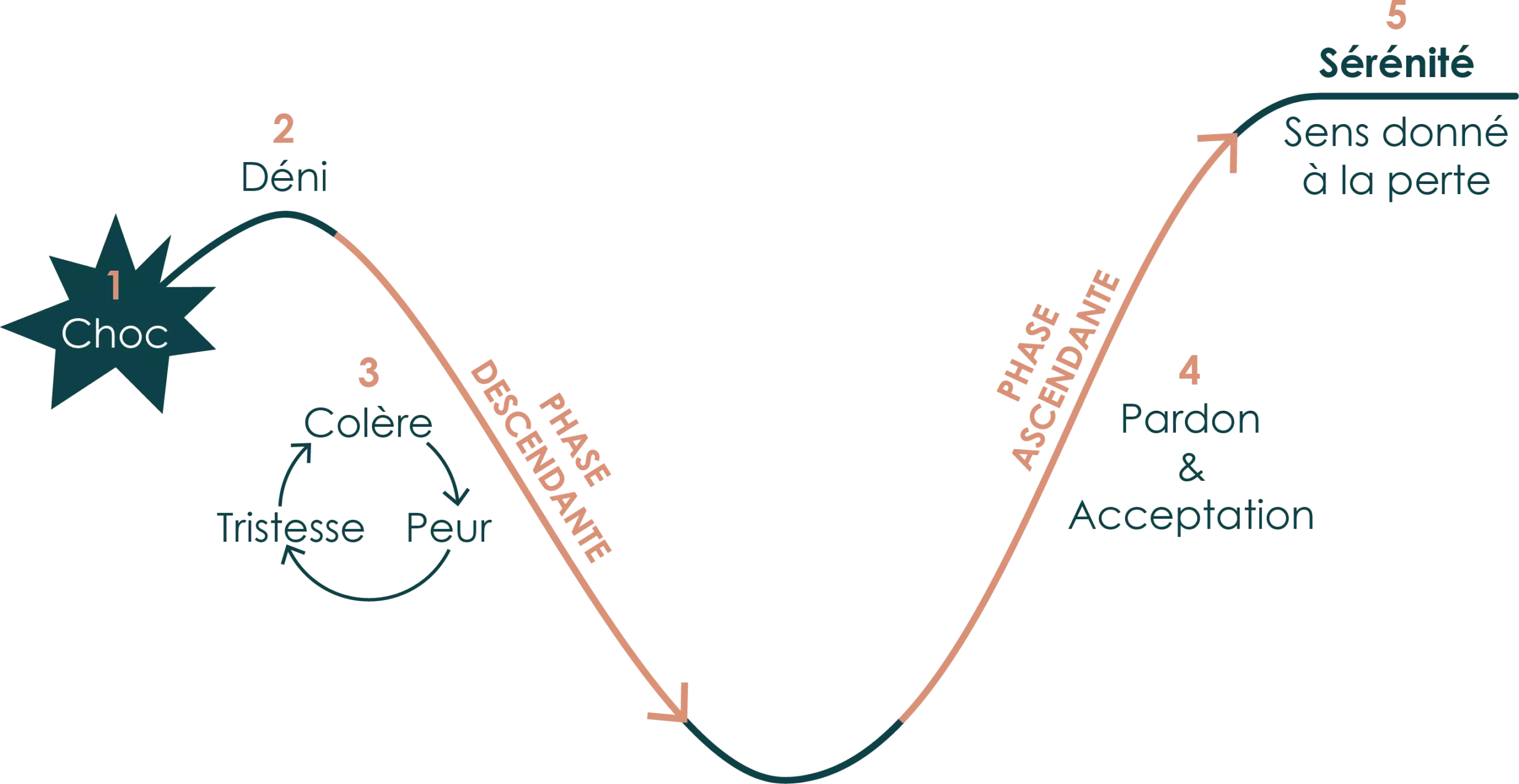 Il s'agit de la courbe du deuil illustrant les diff&eacute;rentes &eacute;tapes et phases de ce processus.