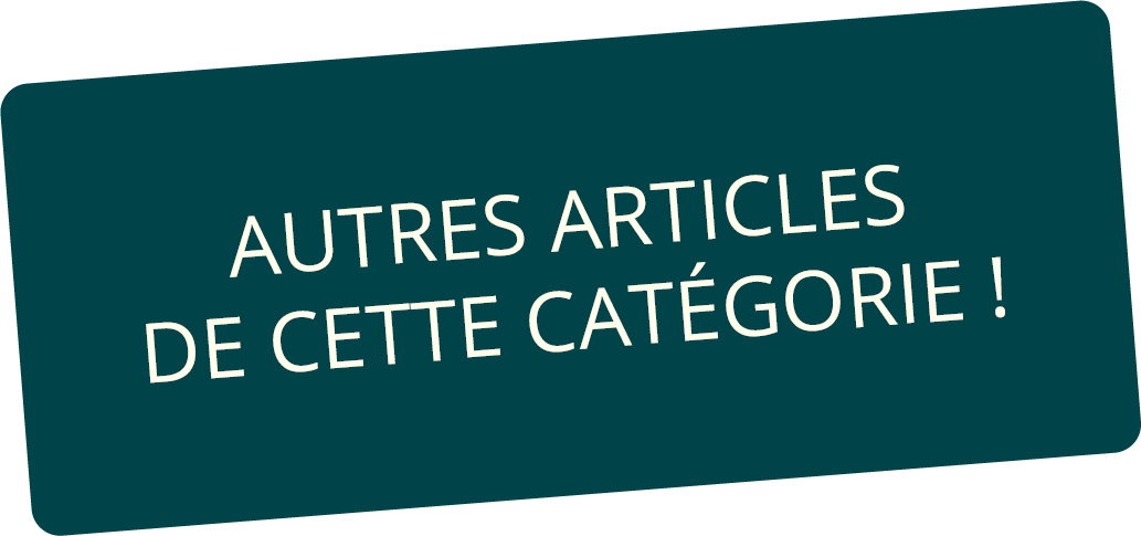 Il s'agit du titre " autres articles de cette catégorie ".