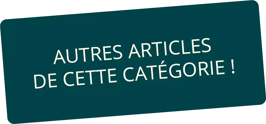 Il s'agit du titre " autres articles de cette catégorie ".