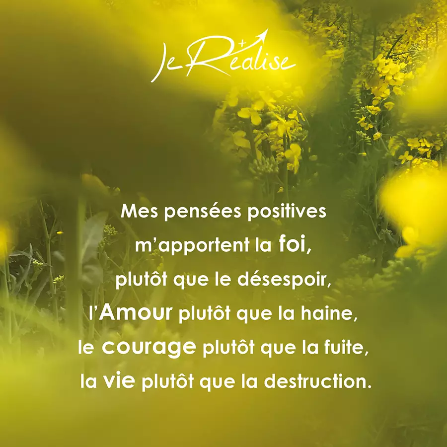 Citation_Réussir ma vie grâce à mes croyances Citation_Mes pensées positives m'apportent la foi, plutôt que le désespoir, l'Amour plutôt que la haine, le courage plutôt que la fuite, la vie plutôt que la destruction.