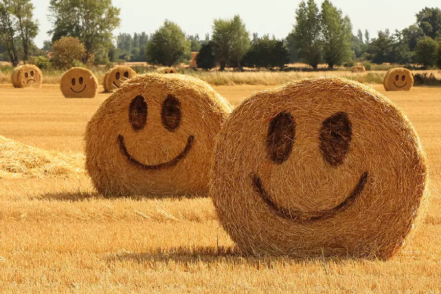 Image d'en-tête de l'article Je Réalise " Prendre la vie du bon côté #1 ", sur laquelle l'on voit des ballots de paille dans un champ. Tous sourient excepté un en arrière-plan à gauche.
